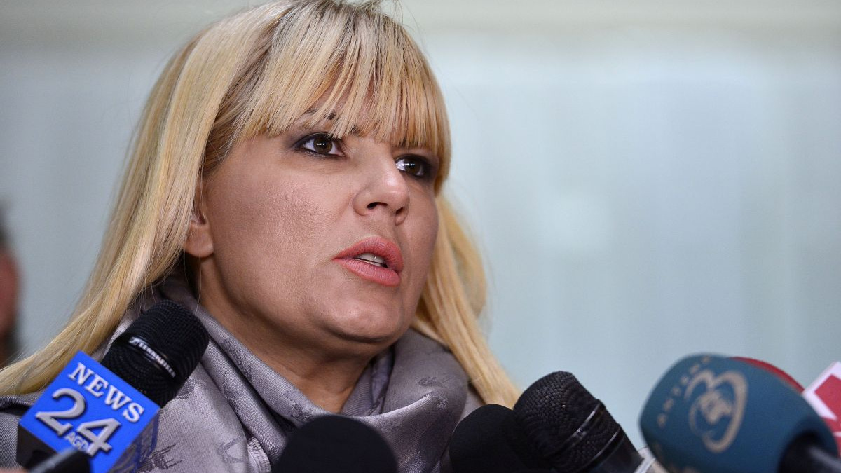 Procurorii cer pedeapsa maximă pentru Elena Udrea și Ioana Băsescu