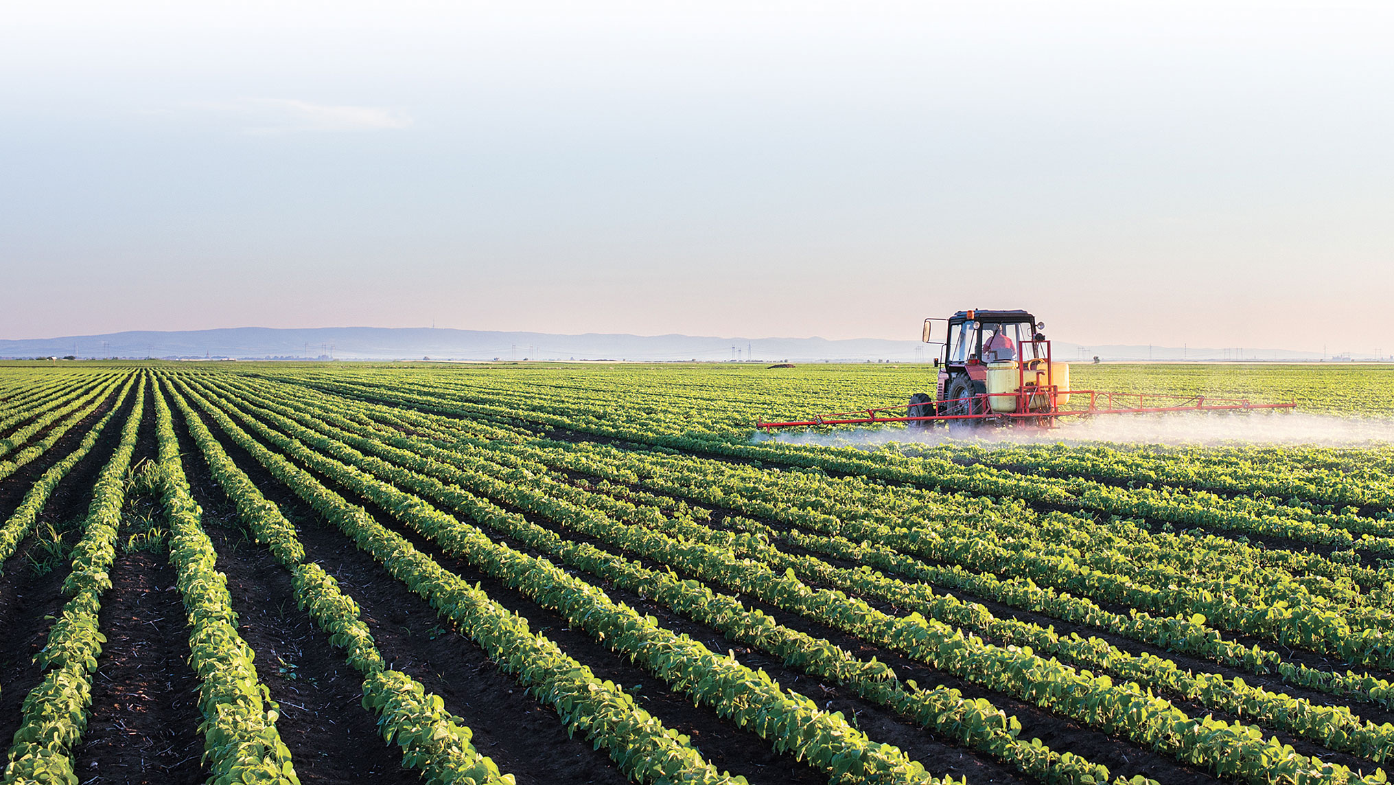 Tinerii fermieri pot depune cereri de concesionare a terenurilor agricole deţinute de ADS până pe 29 ianuarie