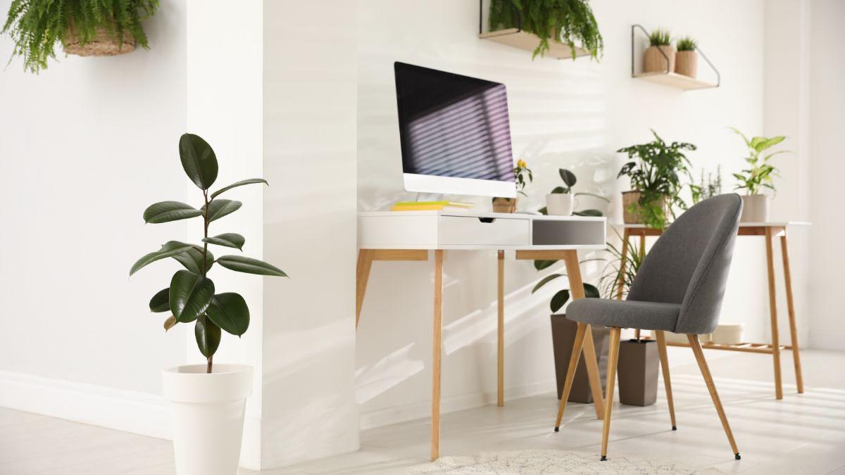 Dorești să amenajezi casa în stil minimalist? Iată cum să alegi decorul!