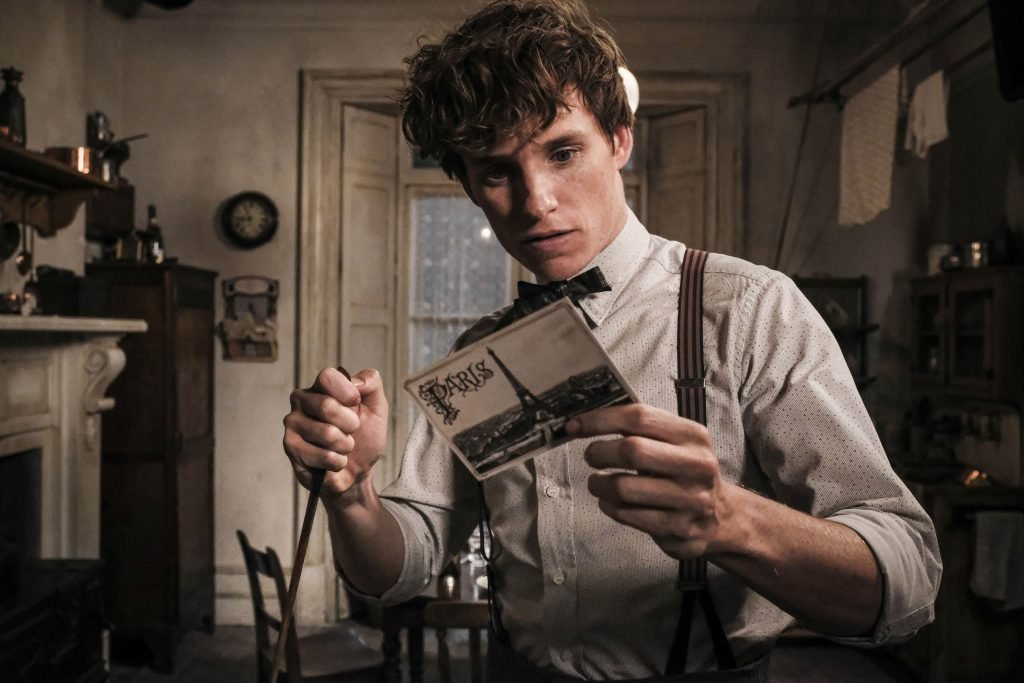 Filmările Pentru „Fantastic Beasts 3”, Suspendate, După Ce Un Membru Al Echipei S-a Infectat Cu COVID-19 | Libertatea