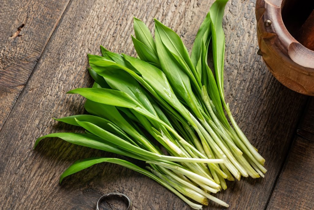 Leurda – Ce Gust Are și Ce Rețete Delicioase Poți Găti Cu Leurdă