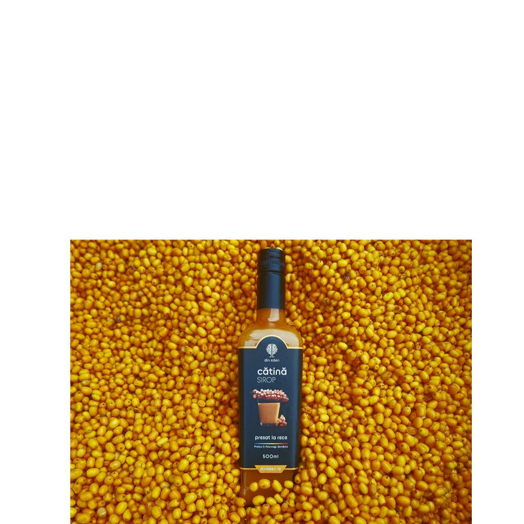 Sirop De Catina – Sursă Principală De Vitamina C