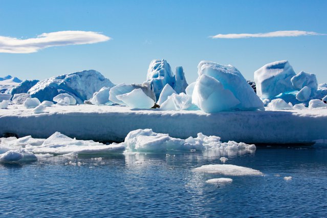 VIDEO Creaturi ciudate au fost descoperite sub gheaţa din Antarctica. Cu ce seamănă acestea