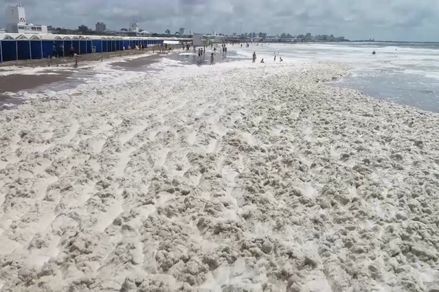 VIDEO La joacă, pe malul mării. Turiştii din staţiunea Mar del Plata s-au bucurat de un fenomen natural neobişnuit