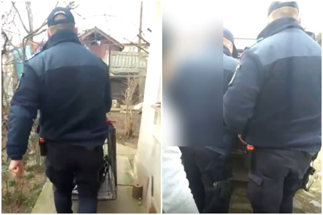 VIDEO „Intrusul” din pivniţa unui bărbat din Teleorman, tranchilizat şi transportat în pădure