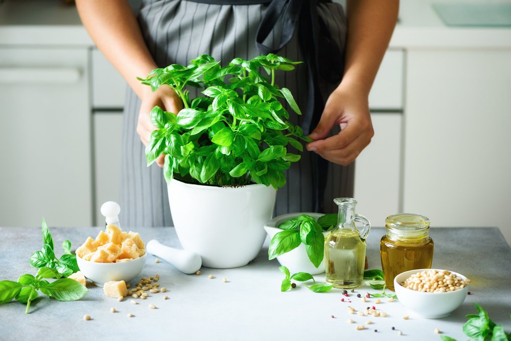 Busuioc – Beneficii și Curiozități. În Ce Rețete Delicioase îl Poți Include