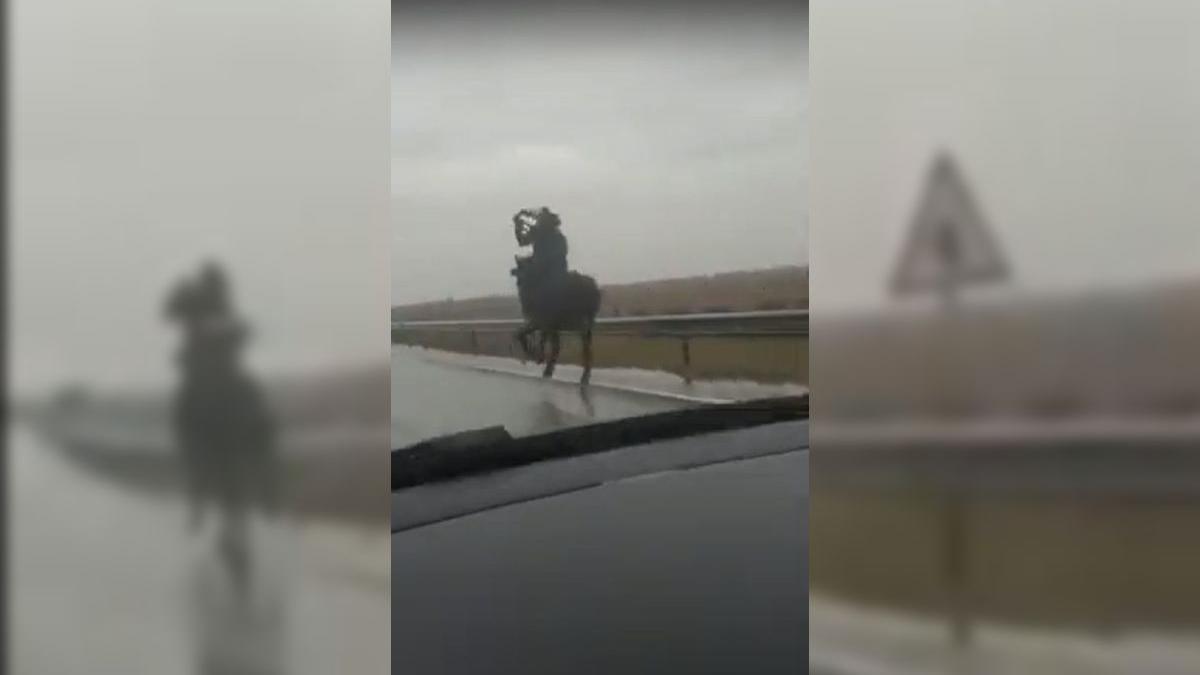 Călare pe cal, prin ploaie, pe drumul european. Poliţia din Dolj îl caută pe bărbatul care a galopat printre maşini | VIDEO