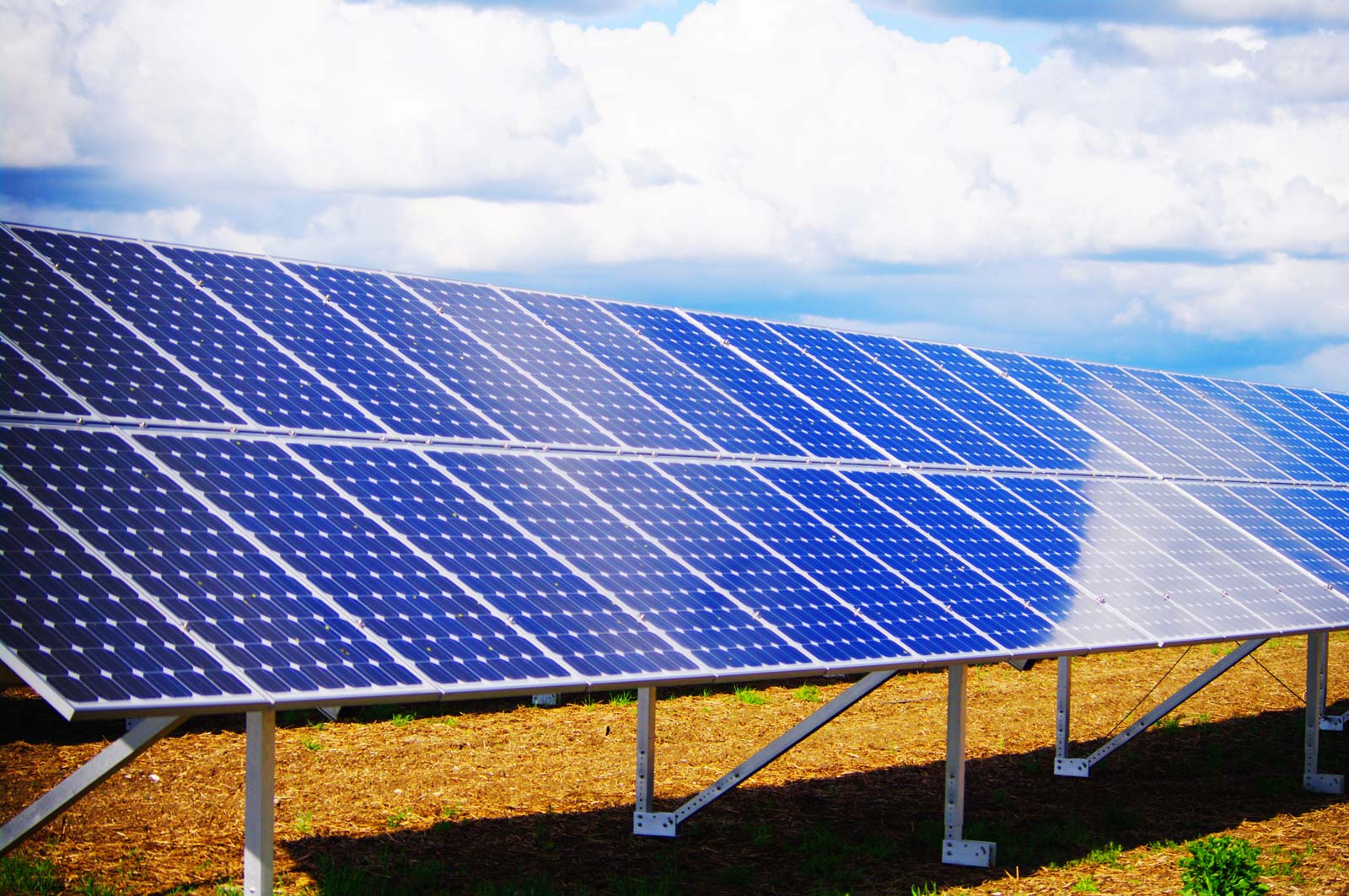 Cea mai mare companie de cărbune din lume pariază pe energia solară