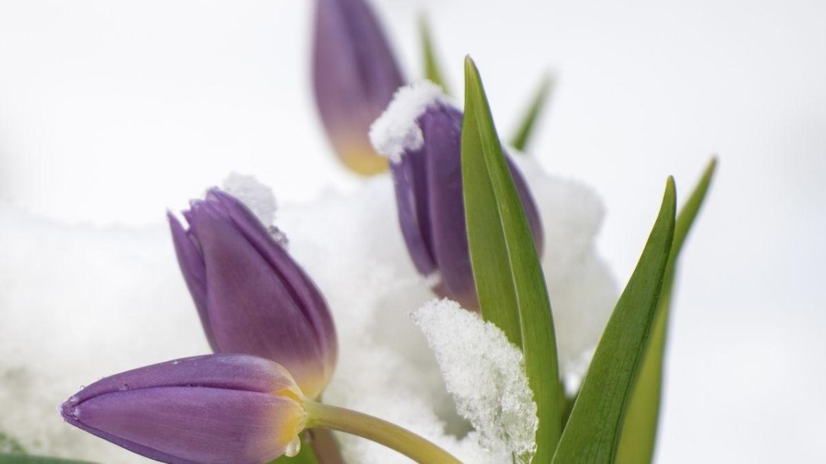Prognoza meteo 13-16 martie 2021. Iarna refuză să plece