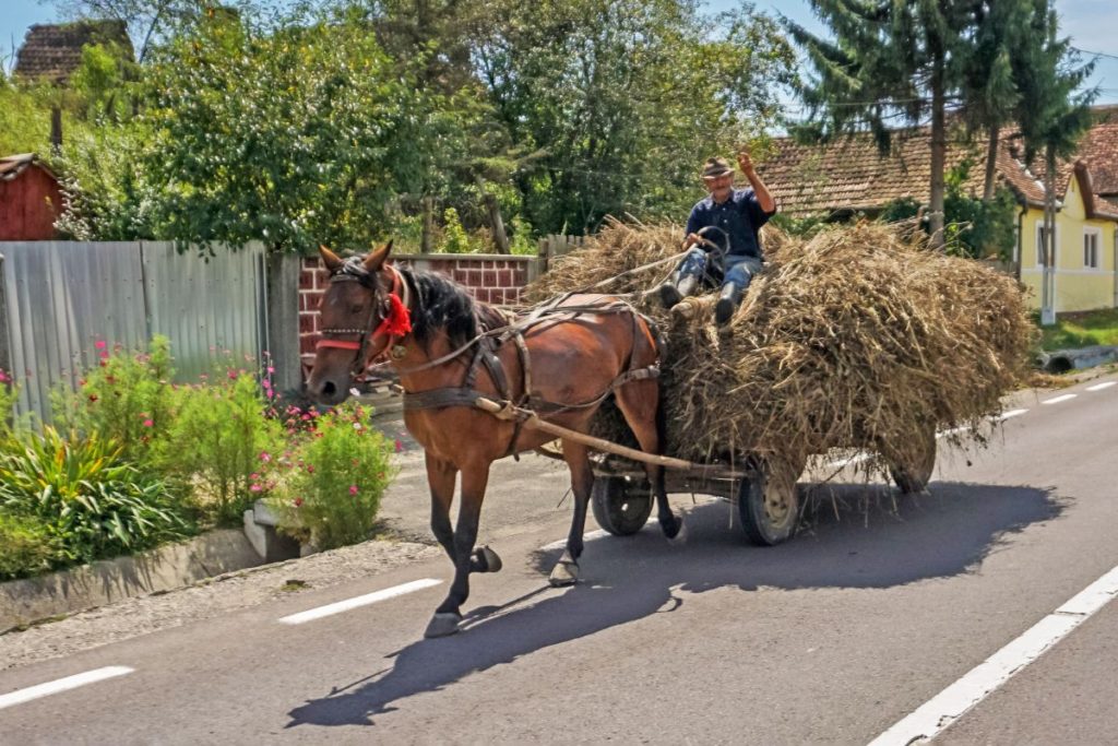 Ce poti face in Romania si ce poti vizita