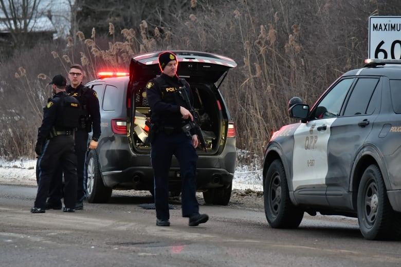 Ofițerii de poliție pot fi văzuți lângă vehiculele lor, lângă marginea unui drum.