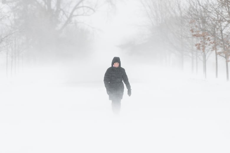 Furtuna lasă zeci de mii de oameni în Canada în întuneric până la Crăciun