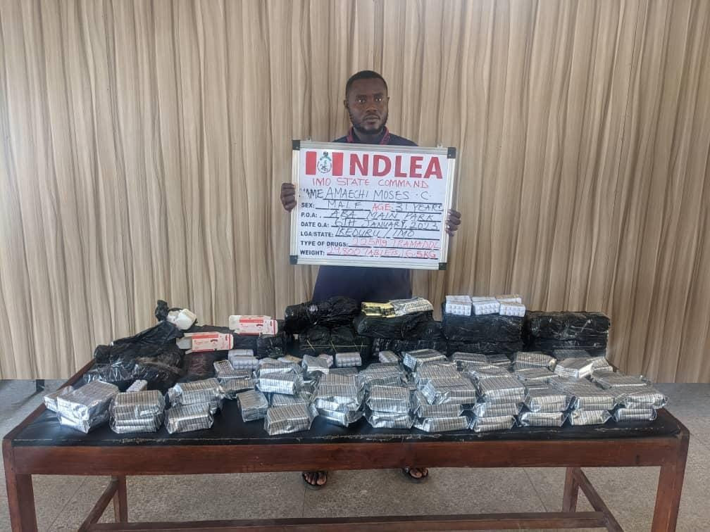 Cinci femei și 7 bărbați arestați în timp ce NDLEA confiscă 3.975 kg de sconcs și 58.200 de pastile de tramadol în timpul a 4 raiduri cinci femei și 7 bărbați arestați în timp ce ndlea confiscă 3975 kg de skunk 58200 pastile de tramadol în timpul raidurilor 3
