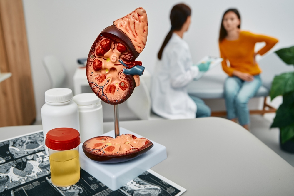 Rolul profilului biochimic renal în monitorizarea bolilor cronice renale