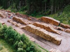 România obține aceeași valoare din materialele consumate ca în 2000, față de un avans european de 50%