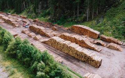România obține aceeași valoare din materialele consumate ca în 2000, față de un avans european de 50%