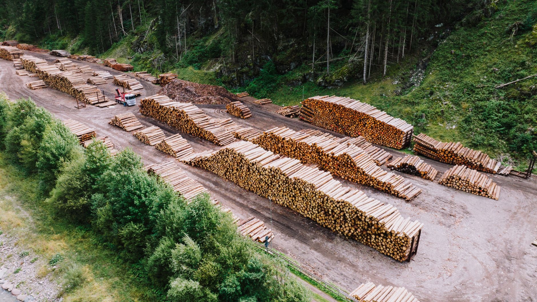 Bușteni pentru productivitatea resurselor naturale